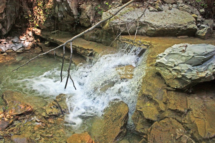 IMG_7668.JPG