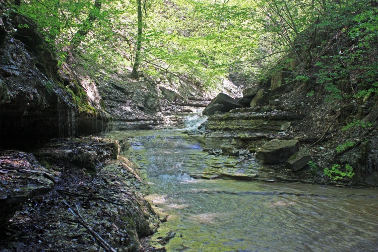 IMG_7678.JPG
