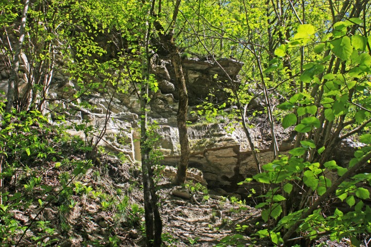 IMG_7690.JPG
