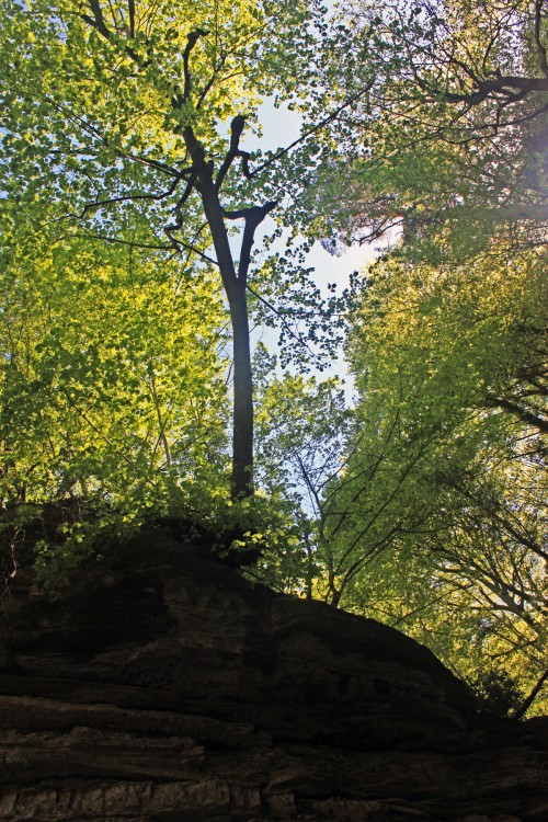 IMG_7693.JPG
