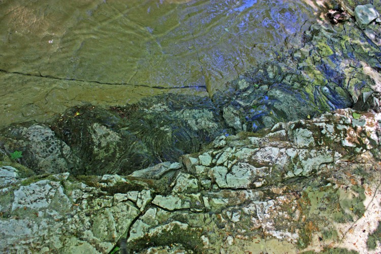 IMG_7714.JPG