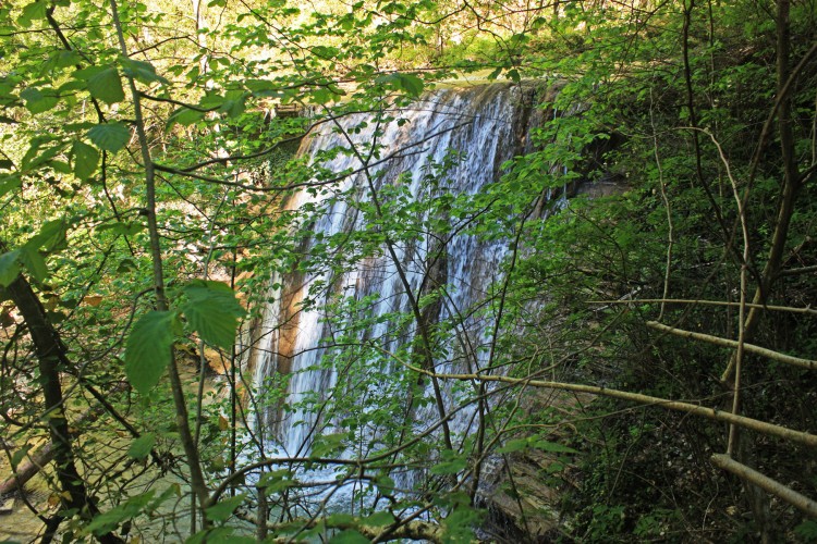 IMG_7727.JPG