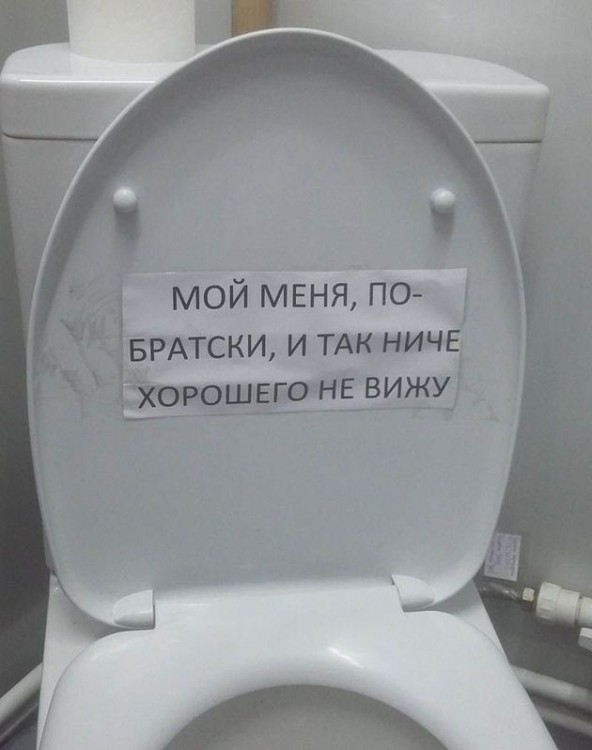 унитаз.jpg