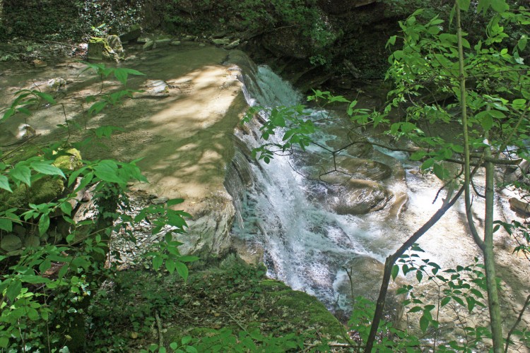 IMG_7751.JPG