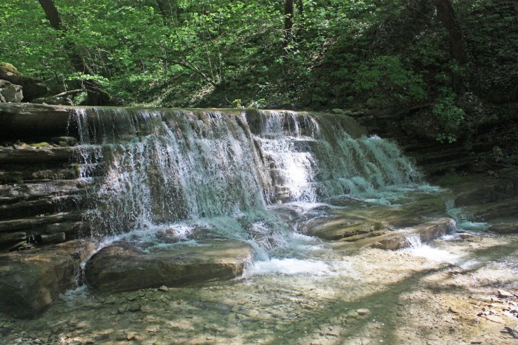 IMG_7754.JPG