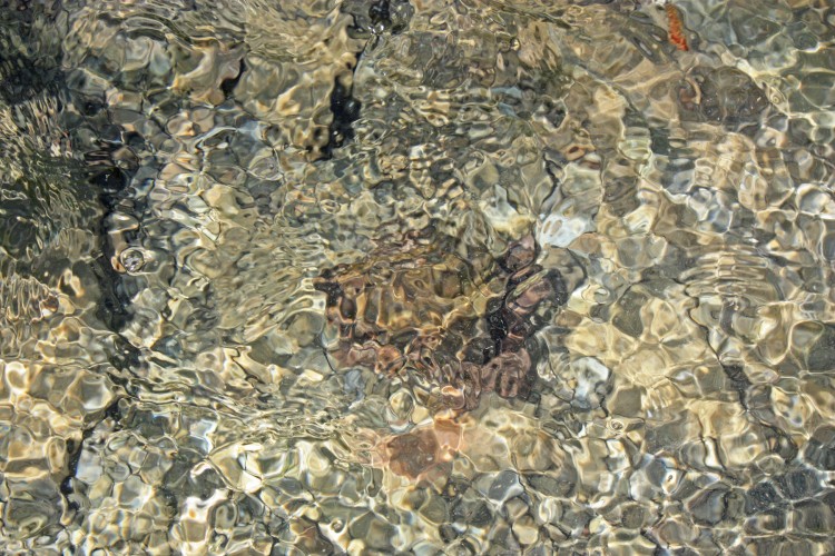 IMG_7796.JPG