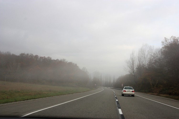 IMG_4454.JPG