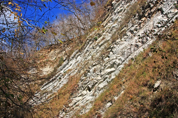 IMG_4677.JPG