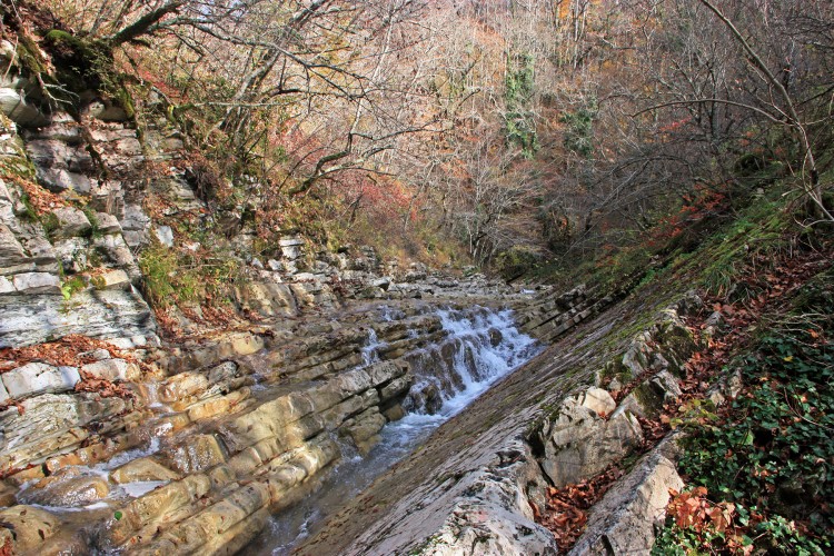 IMG_4700.JPG