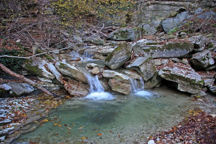 IMG_4874.JPG