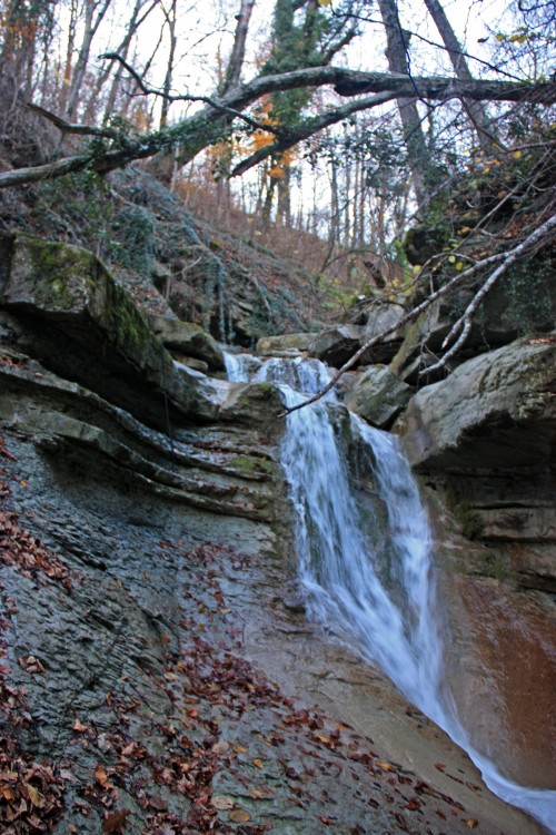 IMG_4881.JPG