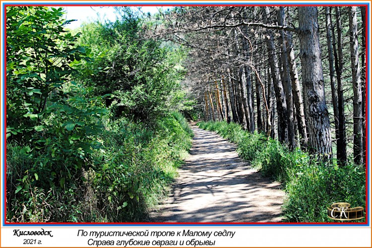 Тт_005=DSC^2021#0533.jpg