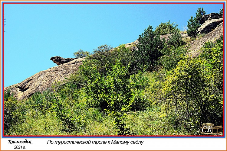 Тт_009=DSC^2021#0538.JPG