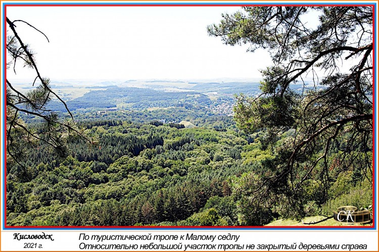 Тт_026=DSC^2021#0567.JPG