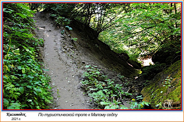 Тт_050=DSC^2021#0603.jpg