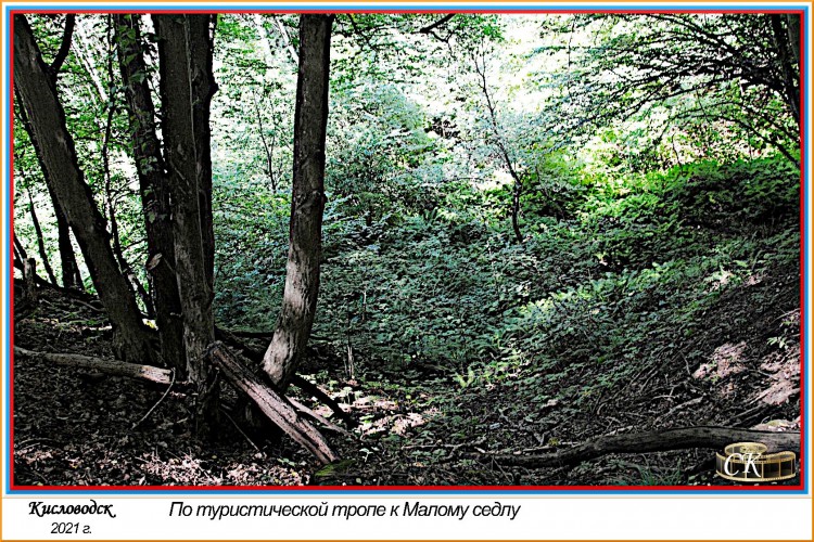 Тт_051=DSC^2021#0605.jpg