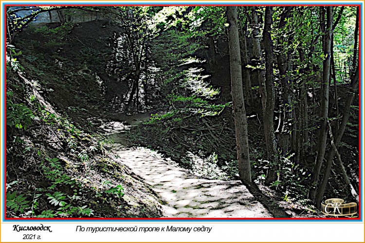 Тт_055=DSC^2021#0613.jpg
