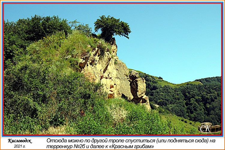 Тт_059=DSC^2021#0621.JPG