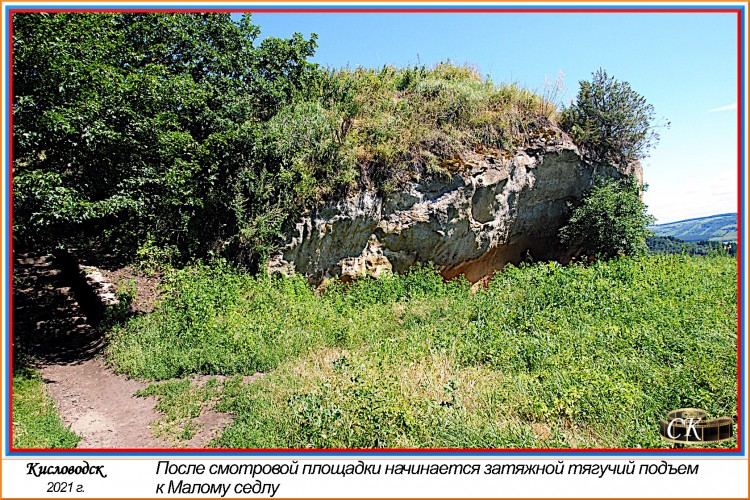 Тт_063=DSC^2021#0625.JPG