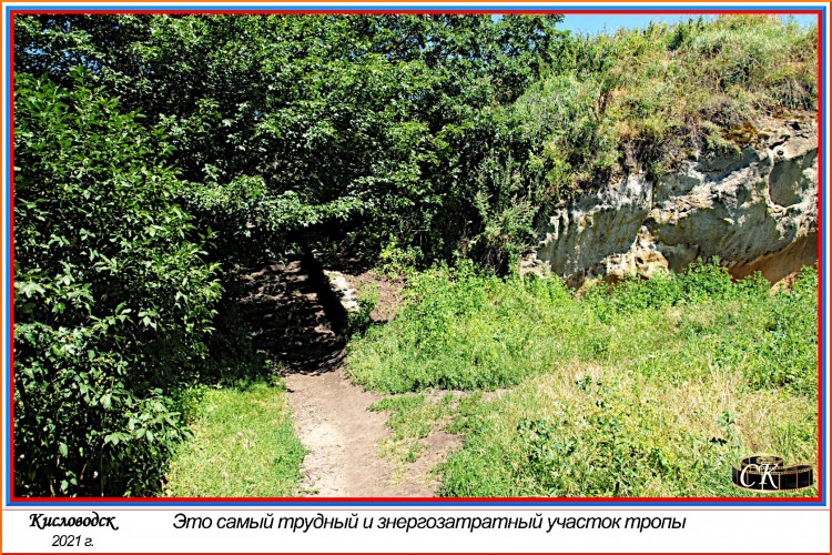 Тт_064=DSC^2021#0626.jpg