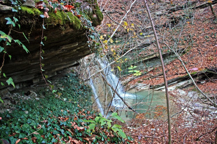 IMG_5336.JPG