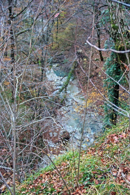 IMG_5337.JPG
