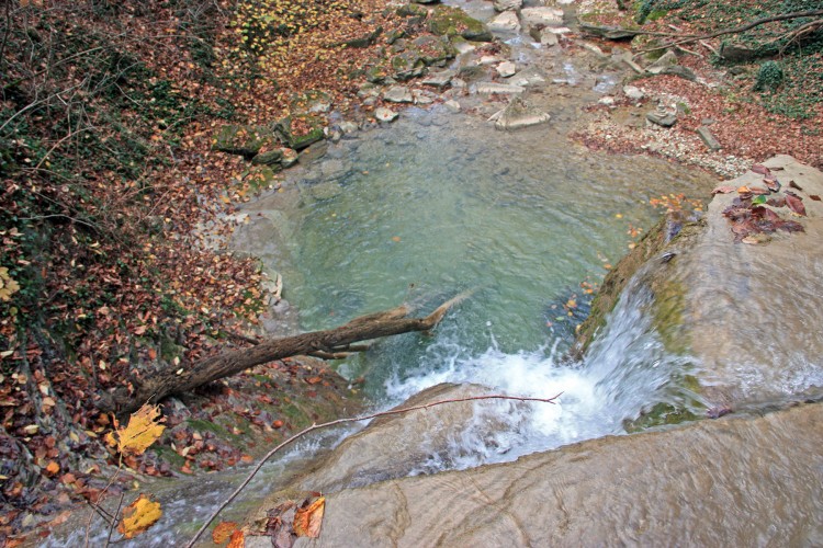 IMG_5612.JPG