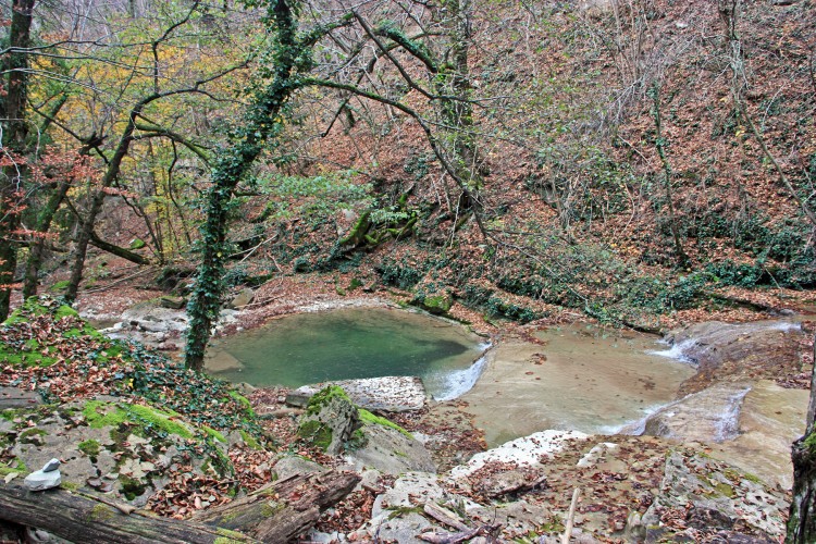 IMG_5716.JPG