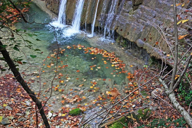 IMG_5724.JPG