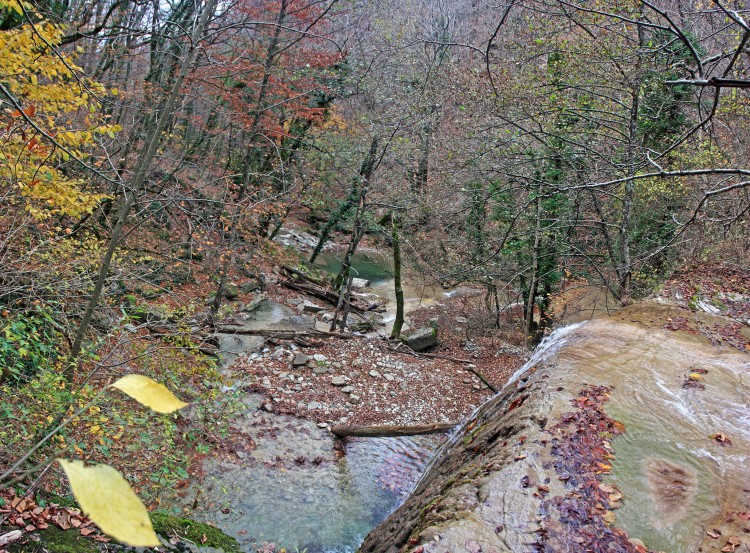 IMG_5730А.JPG
