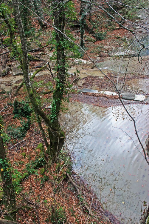 IMG_5736.JPG