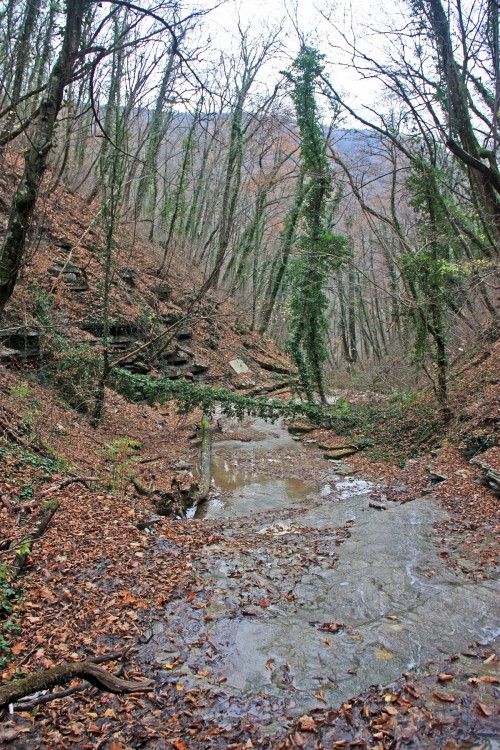 IMG_5779.JPG