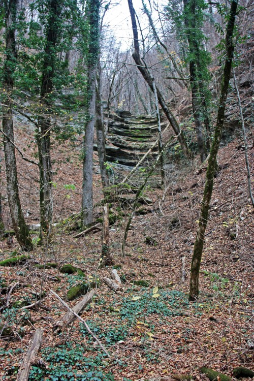 IMG_5848.JPG