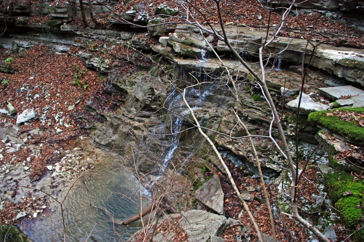IMG_5889.JPG