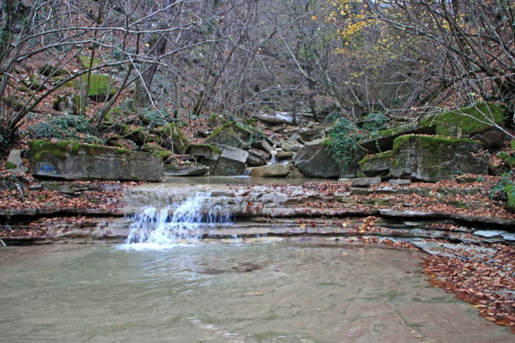 IMG_5937.JPG