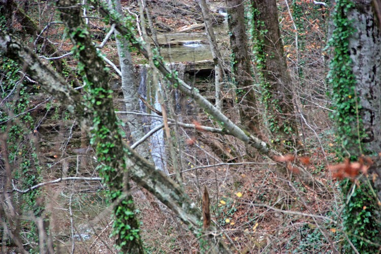 IMG_5956.JPG