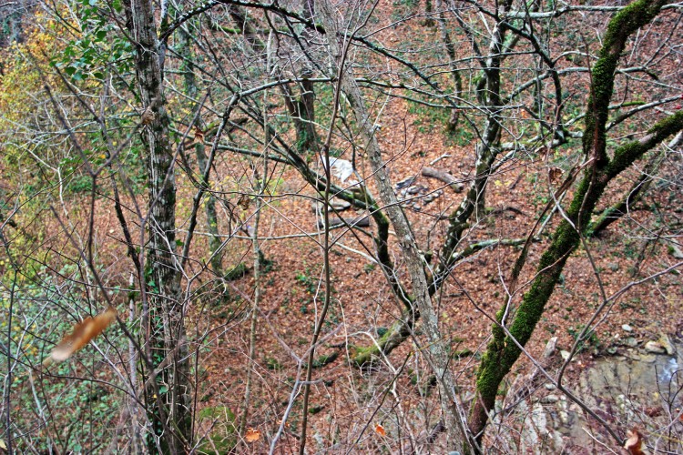 IMG_5979.JPG