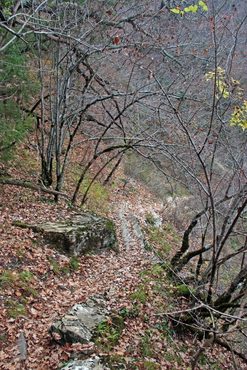 IMG_6000.JPG
