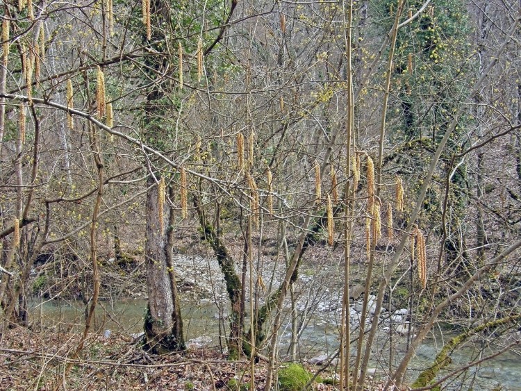 P3081675.JPG