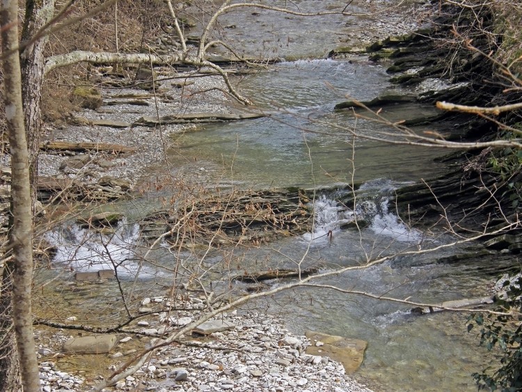 P3081687.JPG