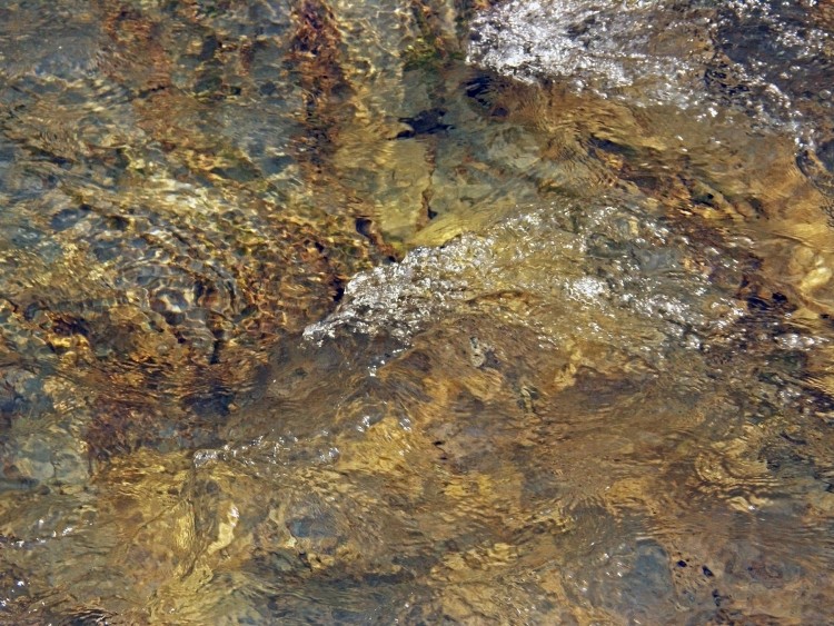 P3081763.JPG
