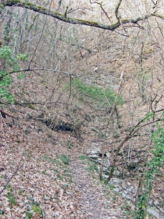 P3081771.jpg