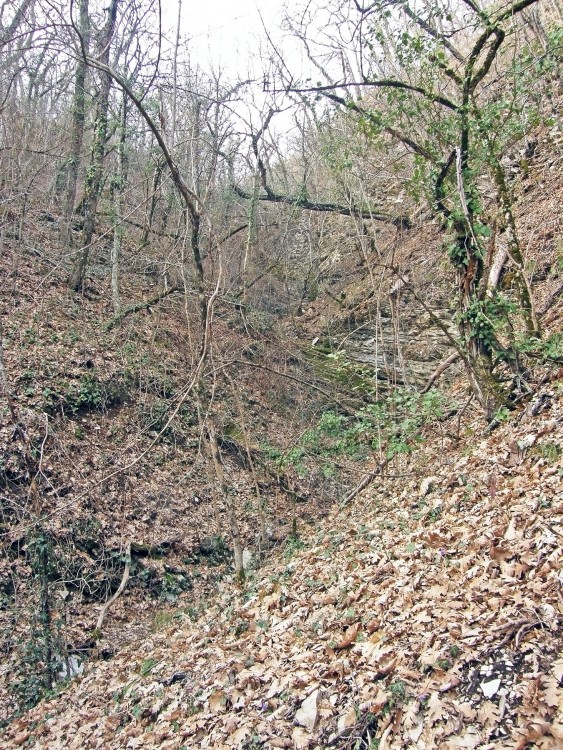 P3081773.jpg