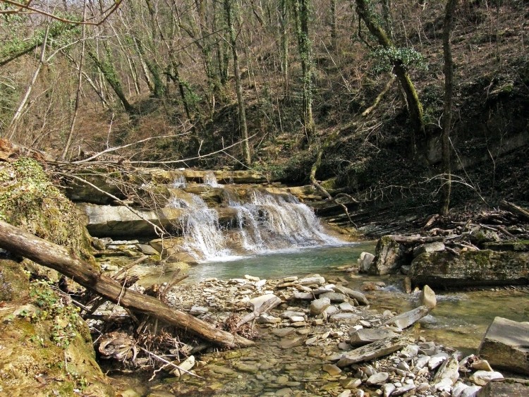 P3092155.JPG