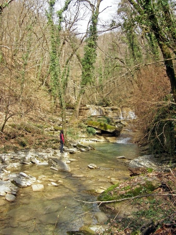 P3092160.jpg