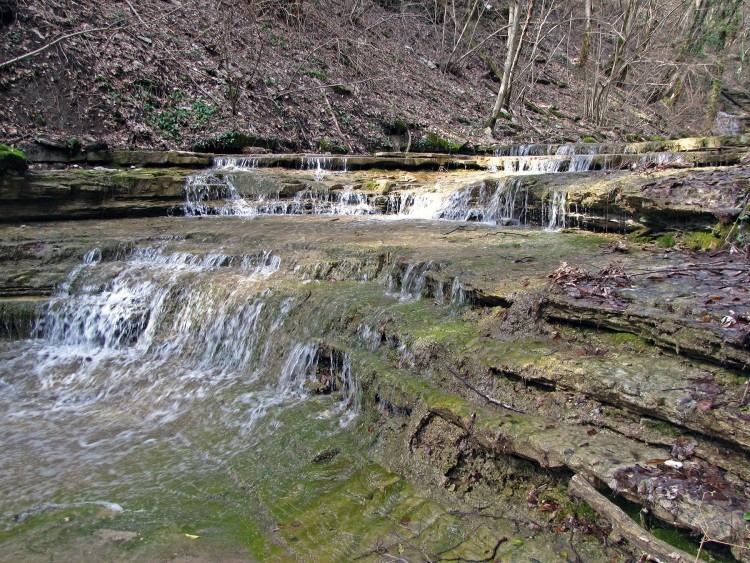 IMG_3989.JPG