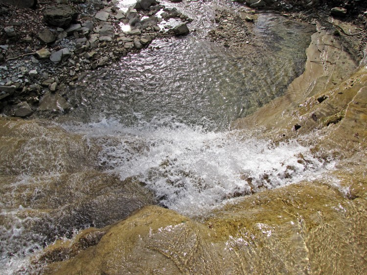 IMG_4130.JPG