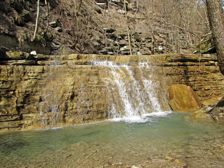 IMG_4136.JPG
