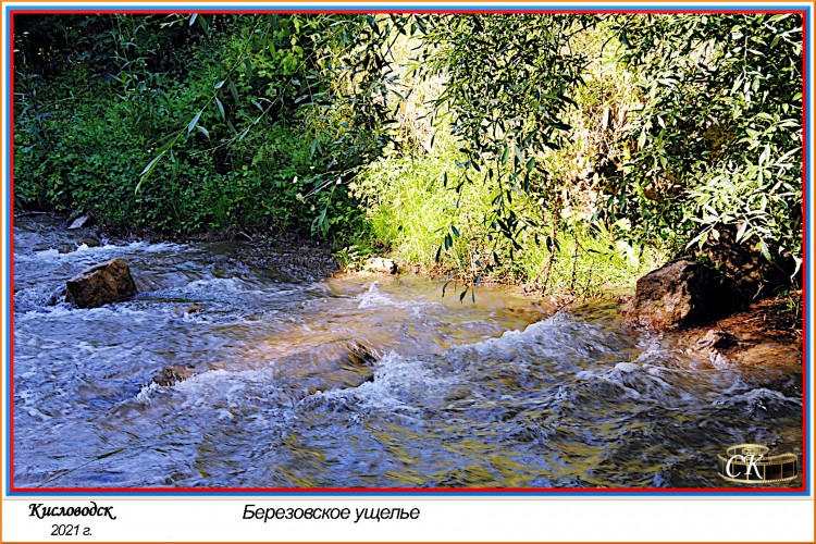 Бу_020 =DSC^2021#0232.JPG