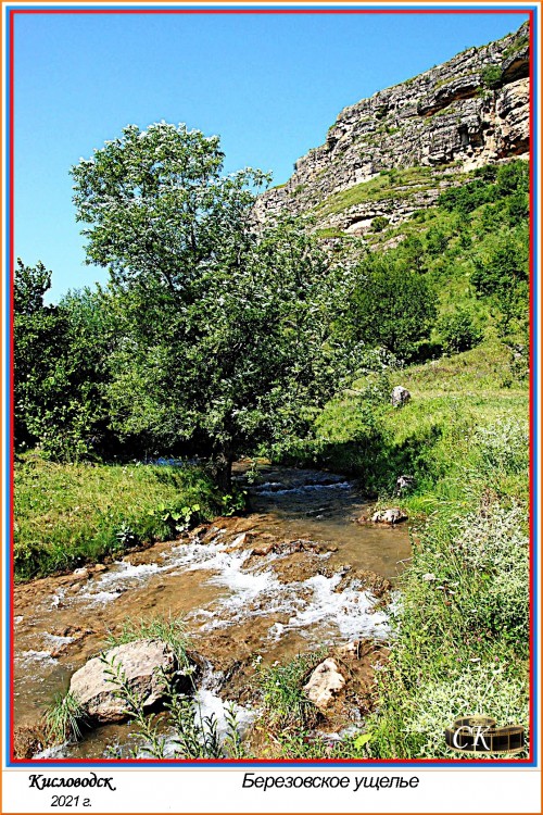 Бу_047 =DSC^2021#0294.JPG